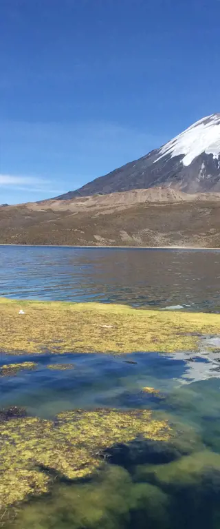 Chile Sehenswürdigkeiten – zwischen Wüste und Eis